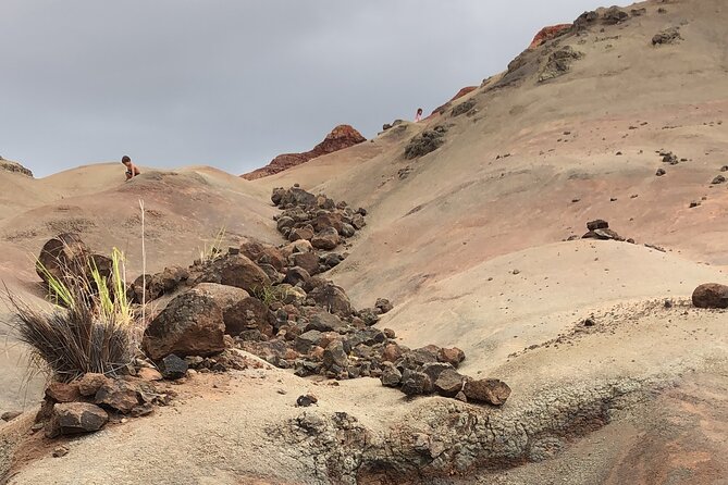 Kauais Waimea Canyon and South Side Private Guided Tour - Customer Experiences