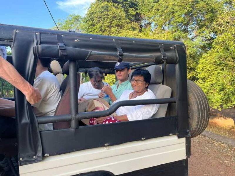 Kaudulla National Park: Elephant Safari Jeep Tour - Who Will Enjoy This Tour?