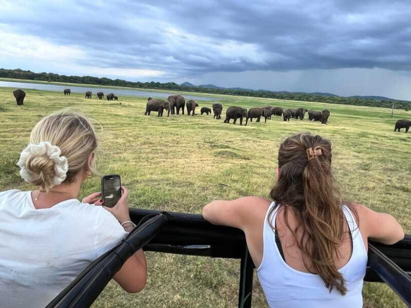 Kaudulla National Park: Private Safari - Practicalities and Value