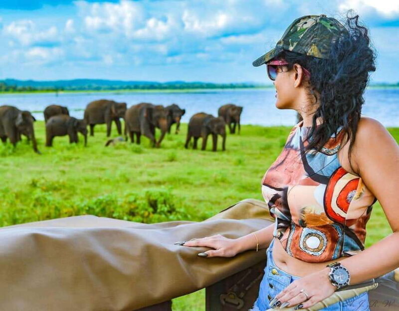 Kaudulla National Park: Wildlife Elephant Safari - Introduction to the Safari Experience