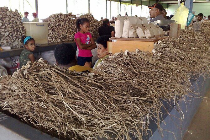 Kava Factory Tour and Flavored Kava Tasting Experience - Introduction