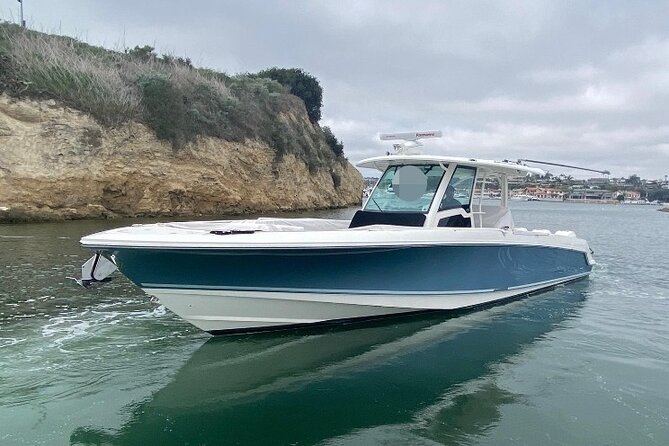 Kawaihae Luxury Snorkel Cruise & Wildlife Watch With Lunch - Traveler Feedback and Ratings