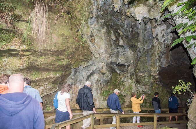 Kawiti Family Glowworm Caves Guided Tour in Bay of Islands - FAQs