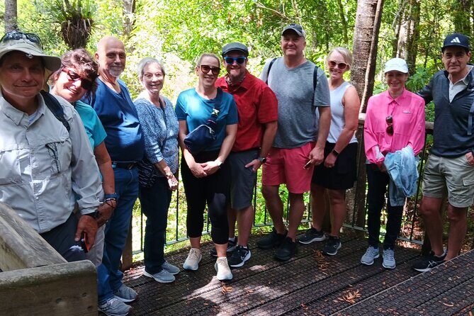 Kawiti Glow Worm Cave Tour & Opua Forest Walk - The Sum Up