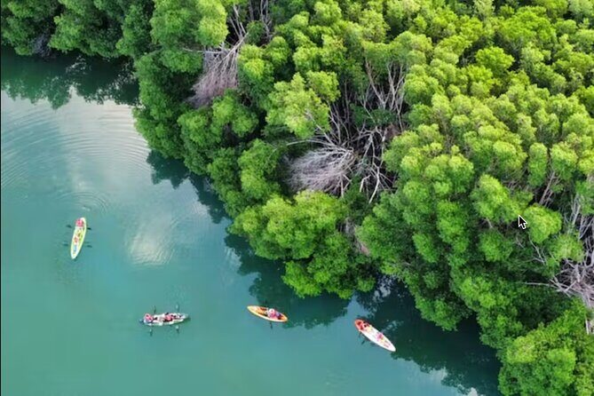 Kayak Activity in Nichupte Lagoon opt. Roundtrip transportation - Key Points