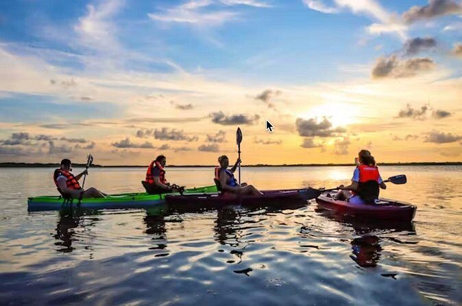 Kayak Activity in Nichupte Lagoon opt. Roundtrip transportation - Pricing and Value Assessment