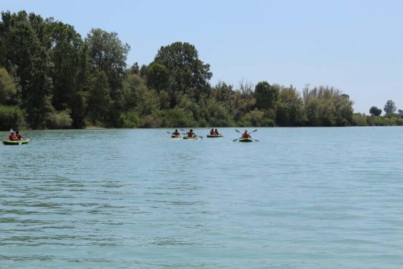 Kayak Adventure from Vlorë: Vjosa River to the Adriatic Sea - Key Points
