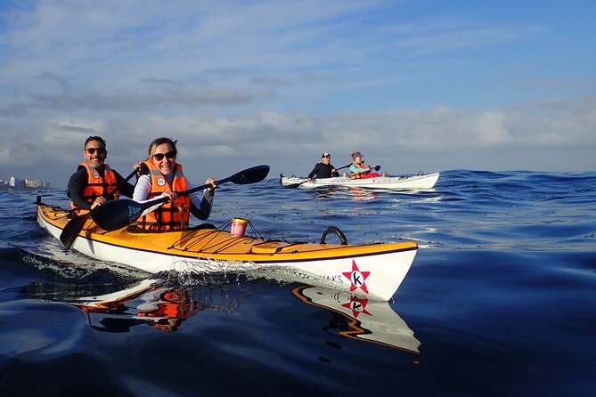 Kayak Adventure in Cape Town, Table Mountain National Reserve - Overview of the Kayak Adventure