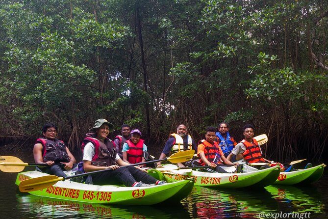 Kayak Adventure in the Second Largest Swamp of Trinidad and Tobago - Key Points