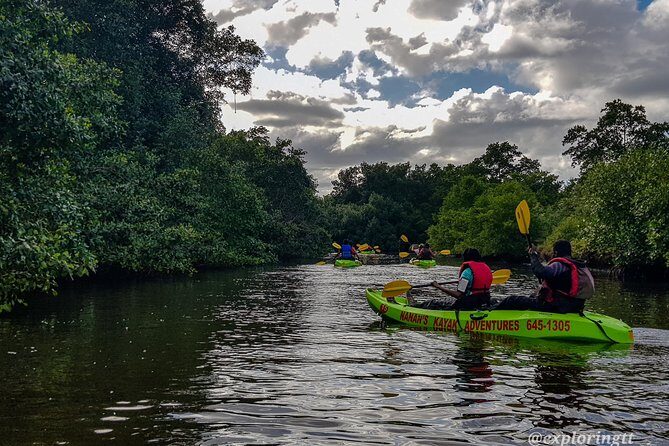Kayak Adventure in the Second Largest Swamp of Trinidad and Tobago - Discovering the Caroni Swamp: What the Tour Offers