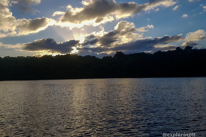 Kayak Adventure in the Second Largest Swamp of Trinidad and Tobago - Kayaking Through Caroni Swamp