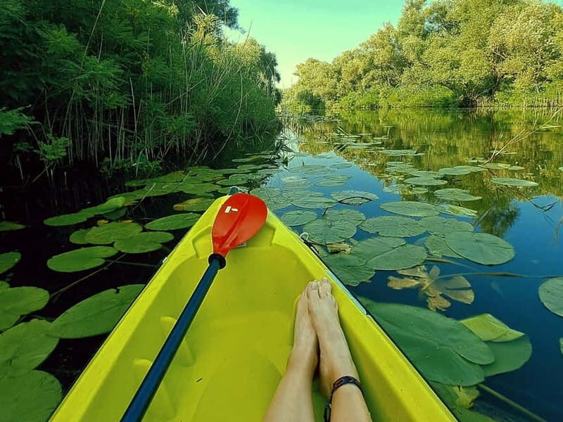 Kayak Adventure: Paddle your way through Lake Skadar - The Experience Overview