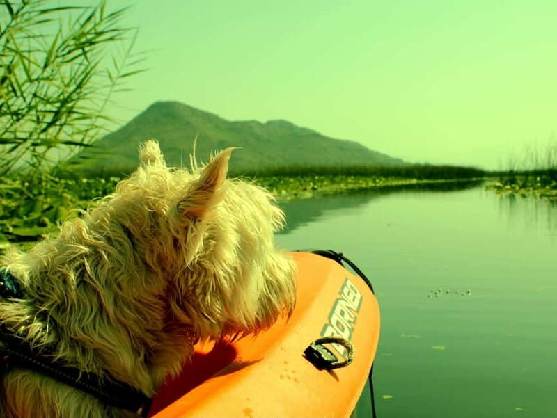 Kayak Adventure: Paddle your way through Lake Skadar - The Itinerary: What to Expect