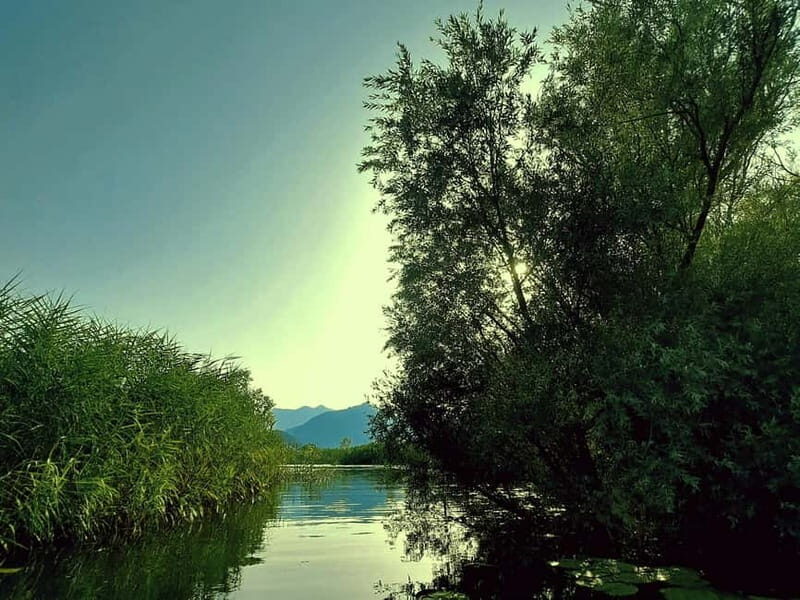 Kayak Adventure: Paddle your way through Lake Skadar - The Scenery: Why It’s Special
