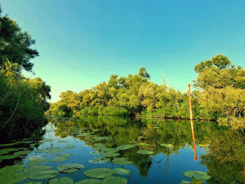 Kayak Adventure: Paddle your way through Lake Skadar - Who Will Love This Tour?