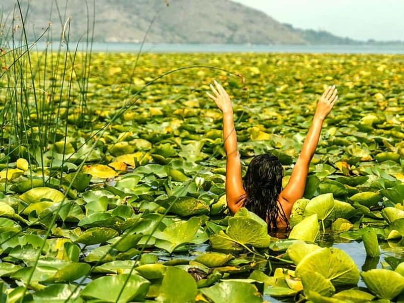 Kayak Adventure: Paddle your way through Lake Skadar - FAQ