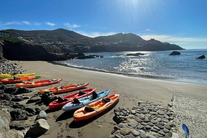 Kayak Adventure to La Bufadora Blowhole  Private Shore Excursion - Key Points