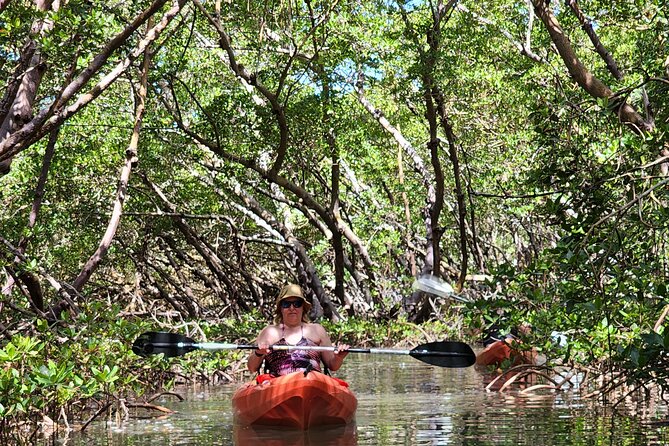 Kayak and SUP Rentals - Big Hickory Island - Fort Myers Beach, FL - Included Gear and Features