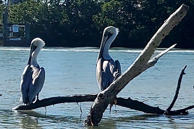 Kayak and SUP Rentals - Big Hickory Island - Fort Myers Beach, FL - Transportation and Meeting Points