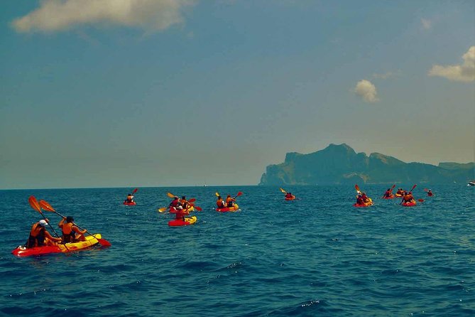Kayak & Coasteering - Pricing and Booking Options