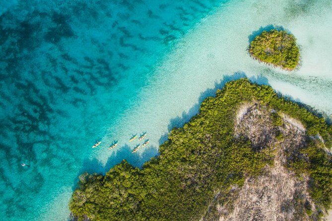 Kayak Eco Tour - The Sum Up: Why This Kayak Eco Tour Stands Out