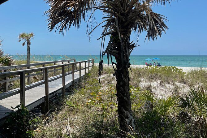 Kayak Eco Tour in Don Pedro Island - An In-Depth Look at the Kayak Eco Tour Experience