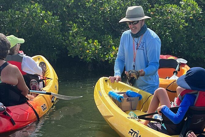 Kayak Eco Tour in Don Pedro Island - The Sum Up: Why This Tour Is a Value for Nature Lovers