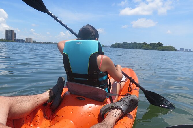 Kayak Eco Tourism in Miami Bay - Good To Know