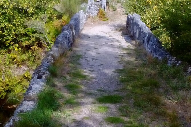 Kayak Experience & Gerês Tour, From Porto - Pricing and Booking