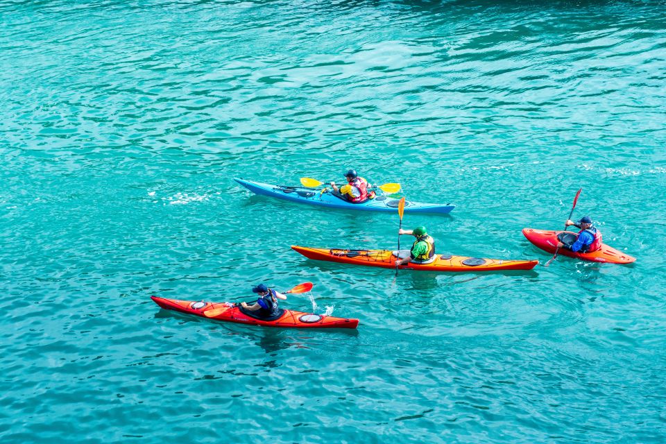 Kayak Experience - Experience Highlights