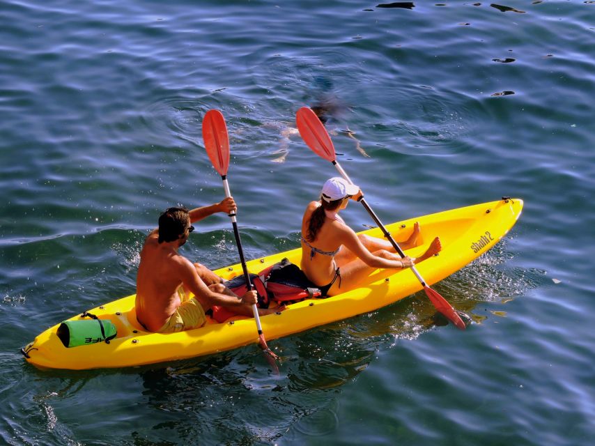 Kayak Experience - Tour Inclusions