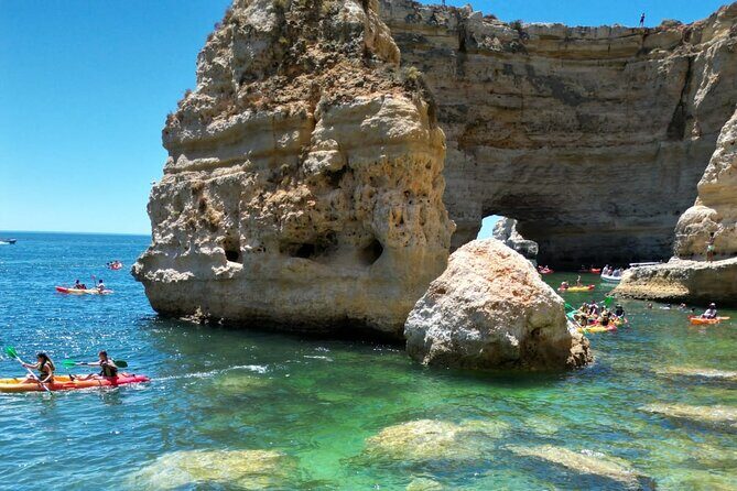 Kayak Experience with a Local - The Value Proposition: Why This Tour Is Worth It