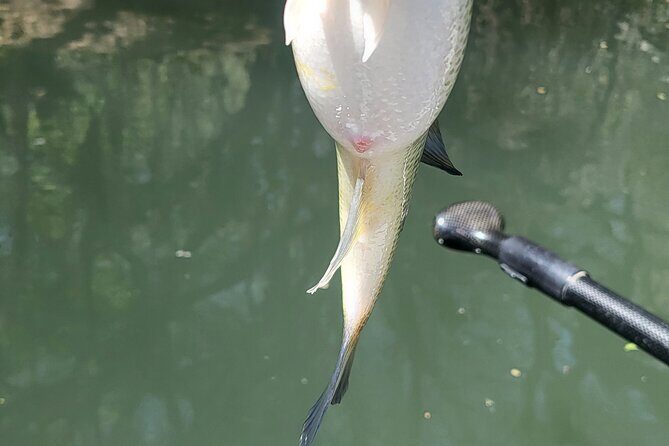 Kayak FISHING Down The Verde River Full Day 20 min from Sedona - The Sum Up: Is It Worth It?