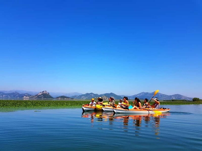 Kayak Guided Tour Skadar lake - Adventure in National park - Kayak Guided Tour Skadar Lake – Adventure in National Park