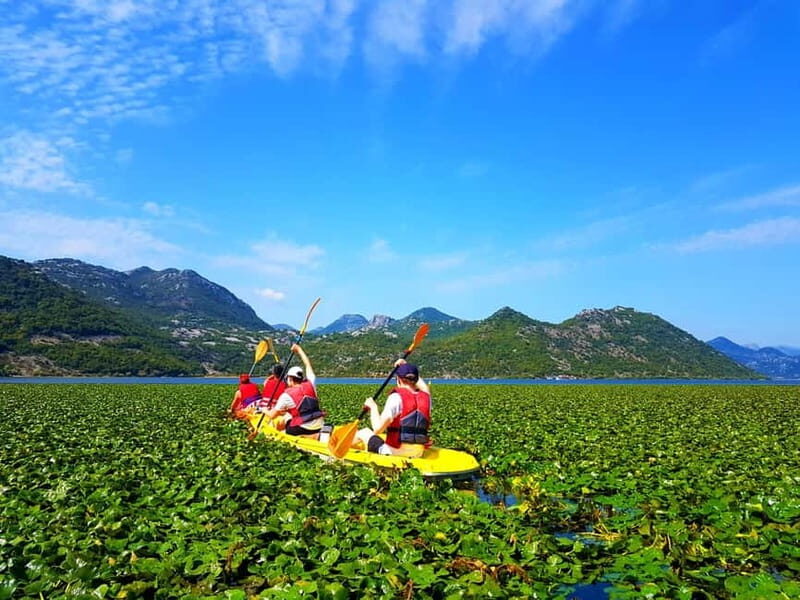 Kayak Guided Tour Skadar lake - Adventure in National park - Practical Tips for Travelers