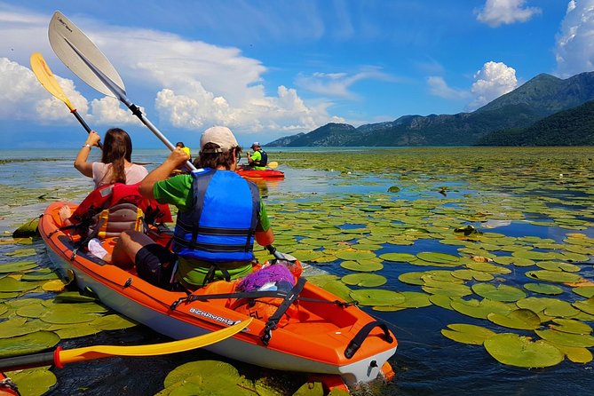 Kayak Guided Tour Skadar Lake - Adventure in National Park - Good To Know