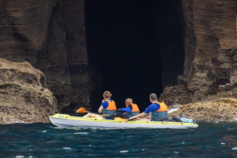 Kayak Guided Tour: Vila Franca do Campo Islet - Who Will Love This Tour?