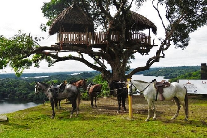 Kayak & Horseback Riding in the Jungle - Horseback Riding