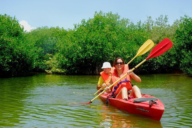 Kayak Lagoon Tour - A Closer Look at the Tour Itinerary