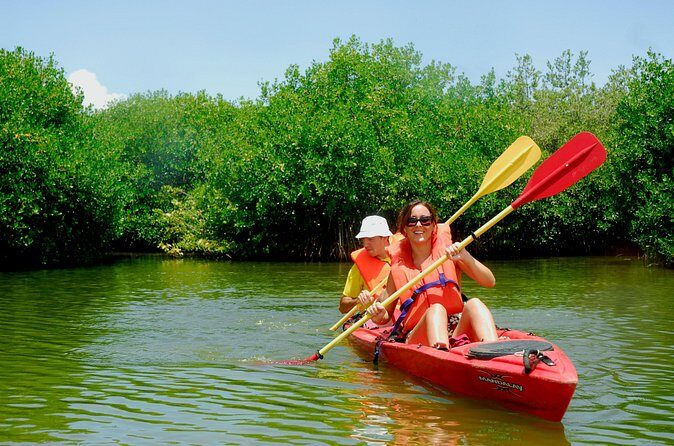 Kayak Lagoon Tour - Authentic, Small-Scale Adventure for Curious Travelers