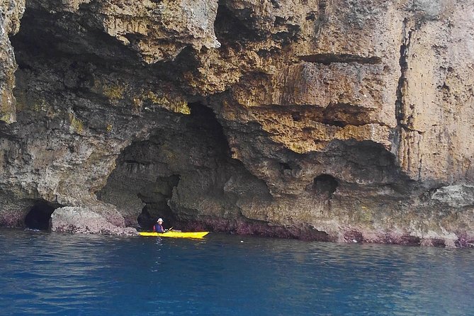 Kayak Mangroves or Coral Reef: Private Tour in North Okinawa - Cancellation and Refund Policy