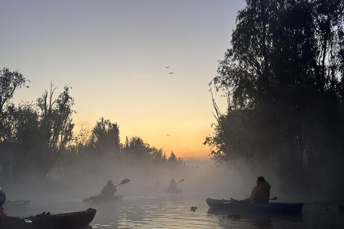 Kayak one more Sunrise Adventure in Xochimilco - Who Would Love This Tour?