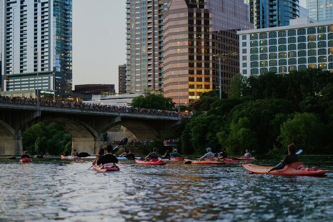 Kayak or Paddle Board Sunset Bat Tour - FAQ
