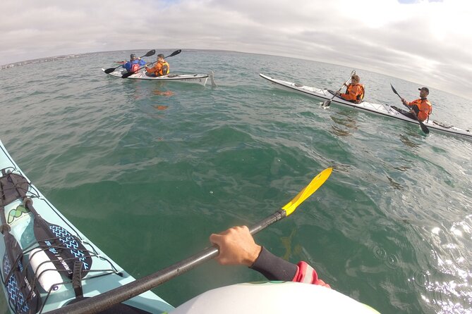 Kayak Paddling Experience With Sea Lions in Puerto Madryn - Included Amenities