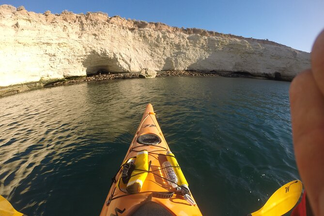 Kayak Paddling Experience With Sea Lions in Puerto Madryn - Transportation and Snacks