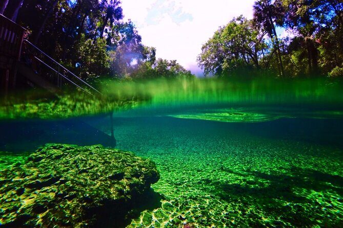Kayak Rental (2hr) - Blue Spring State Park - The Value of the Experience