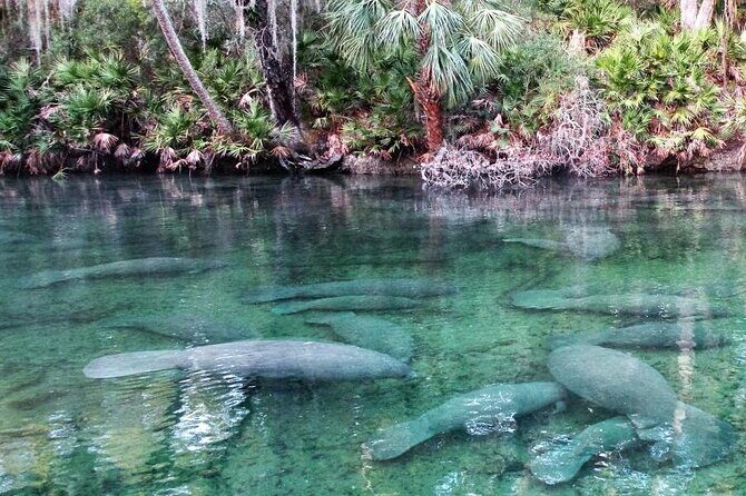 Kayak Rental (2hr) - Blue Spring State Park - How This Tour Fits Into Your Travel Plans
