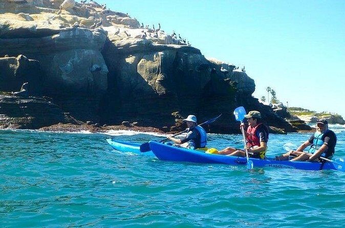 Kayak Rental For 2 (2 hour tandem kayak in La Jolla) - Authentic Experiences and Traveler Feedback