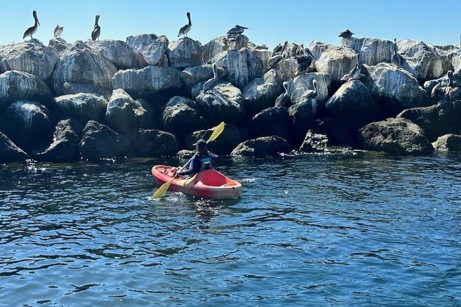 Kayak Rental in Redondo Beach, USA - Equipment Included With Rentals