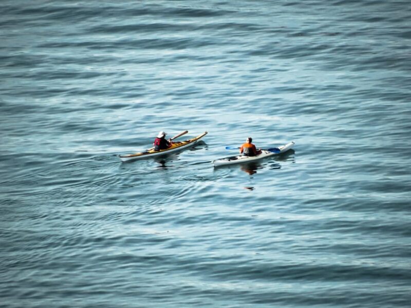 Kayak Rental in the Coast of Ognina in Syracuse - Key Points
